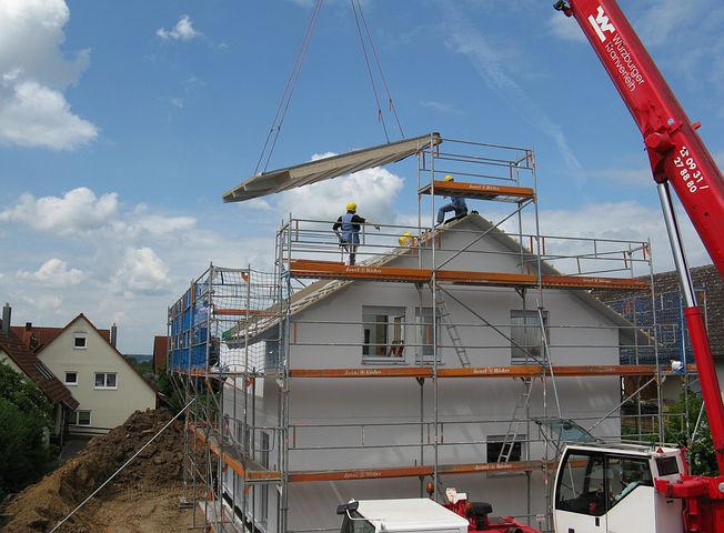 scaffolds